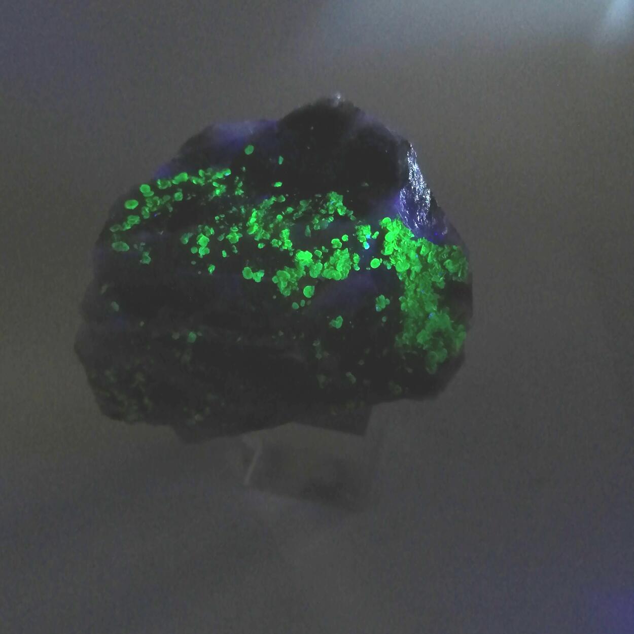 Autunite Torbernite