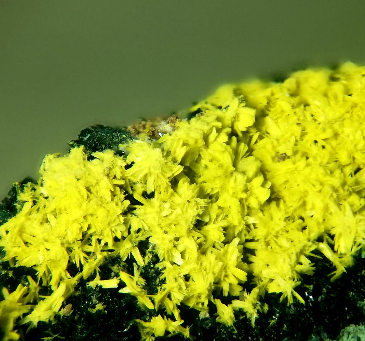 Vandenbrandeite Schoepite On Rutherfordine