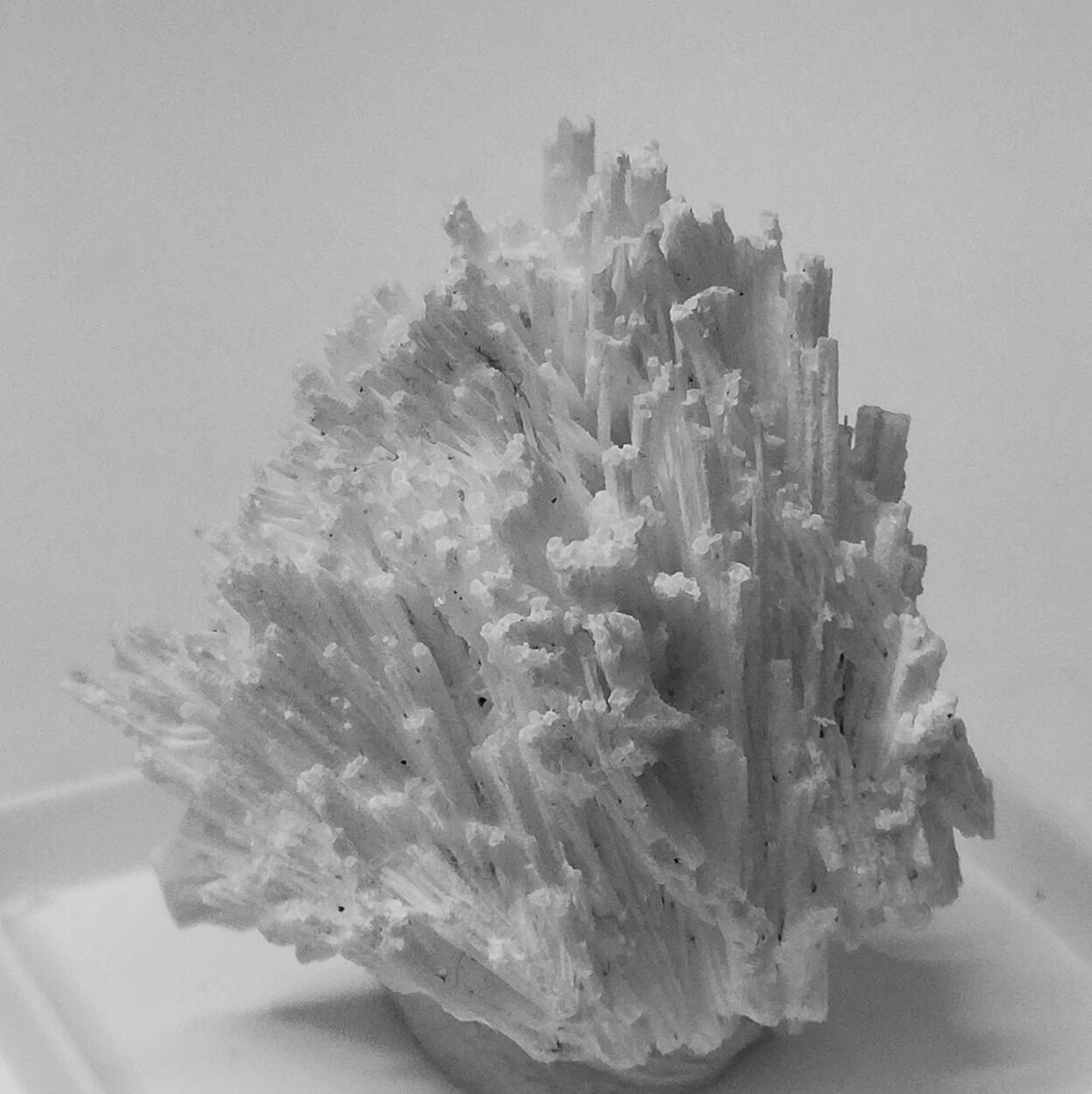 Cerussite