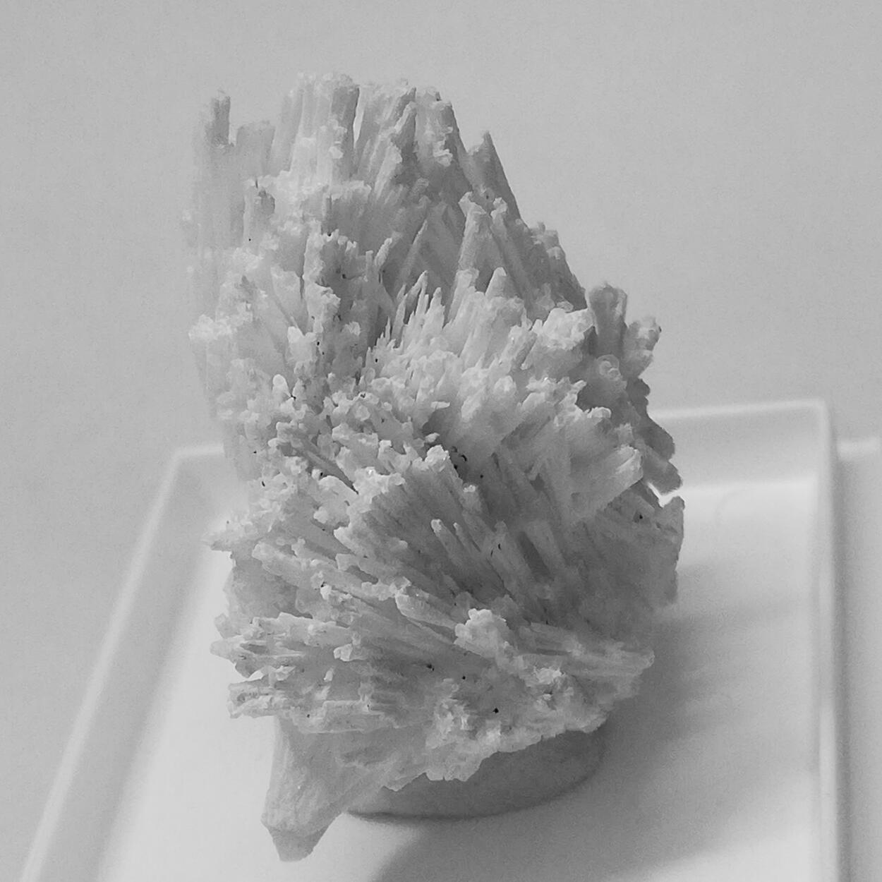 Cerussite