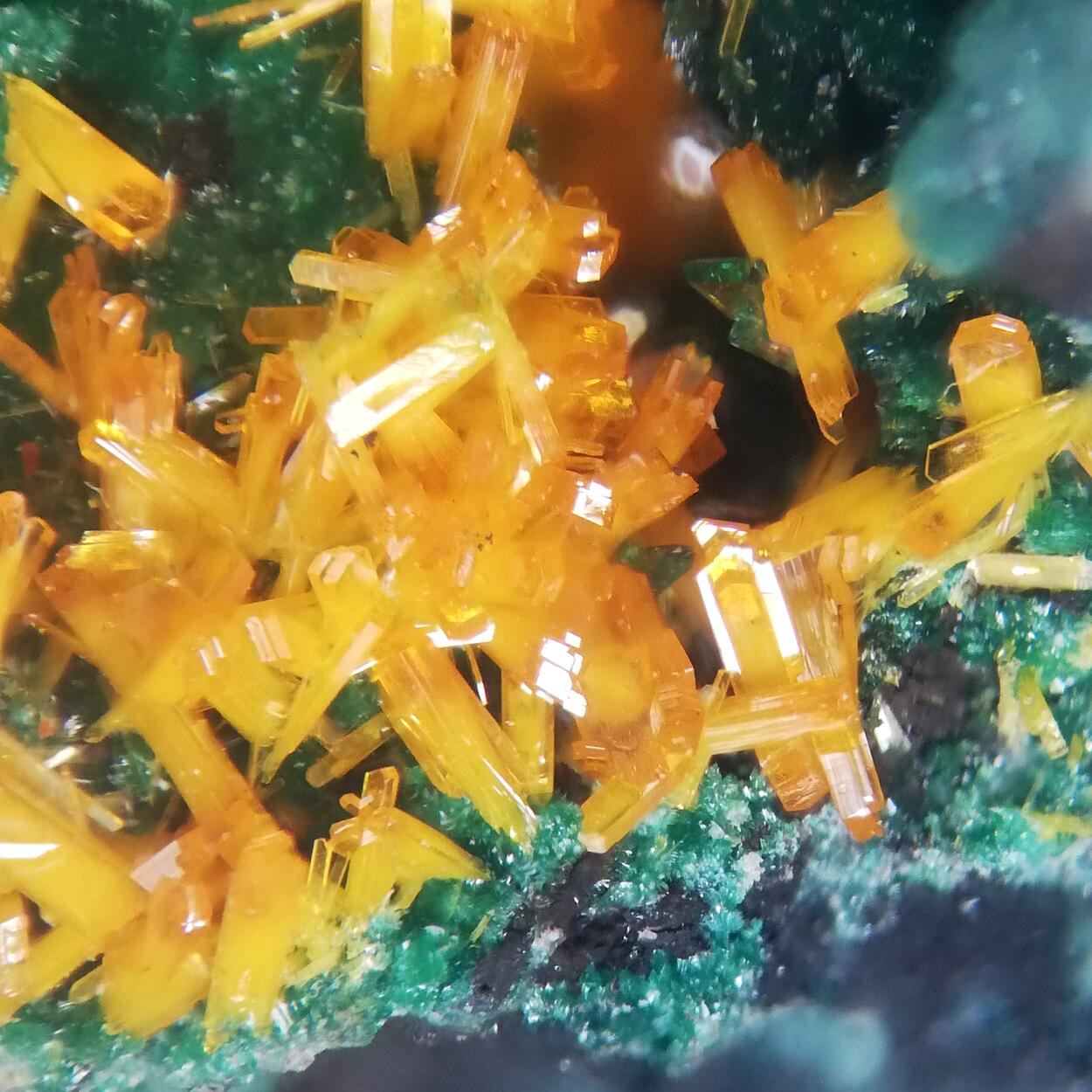 Kasolite On Malachite