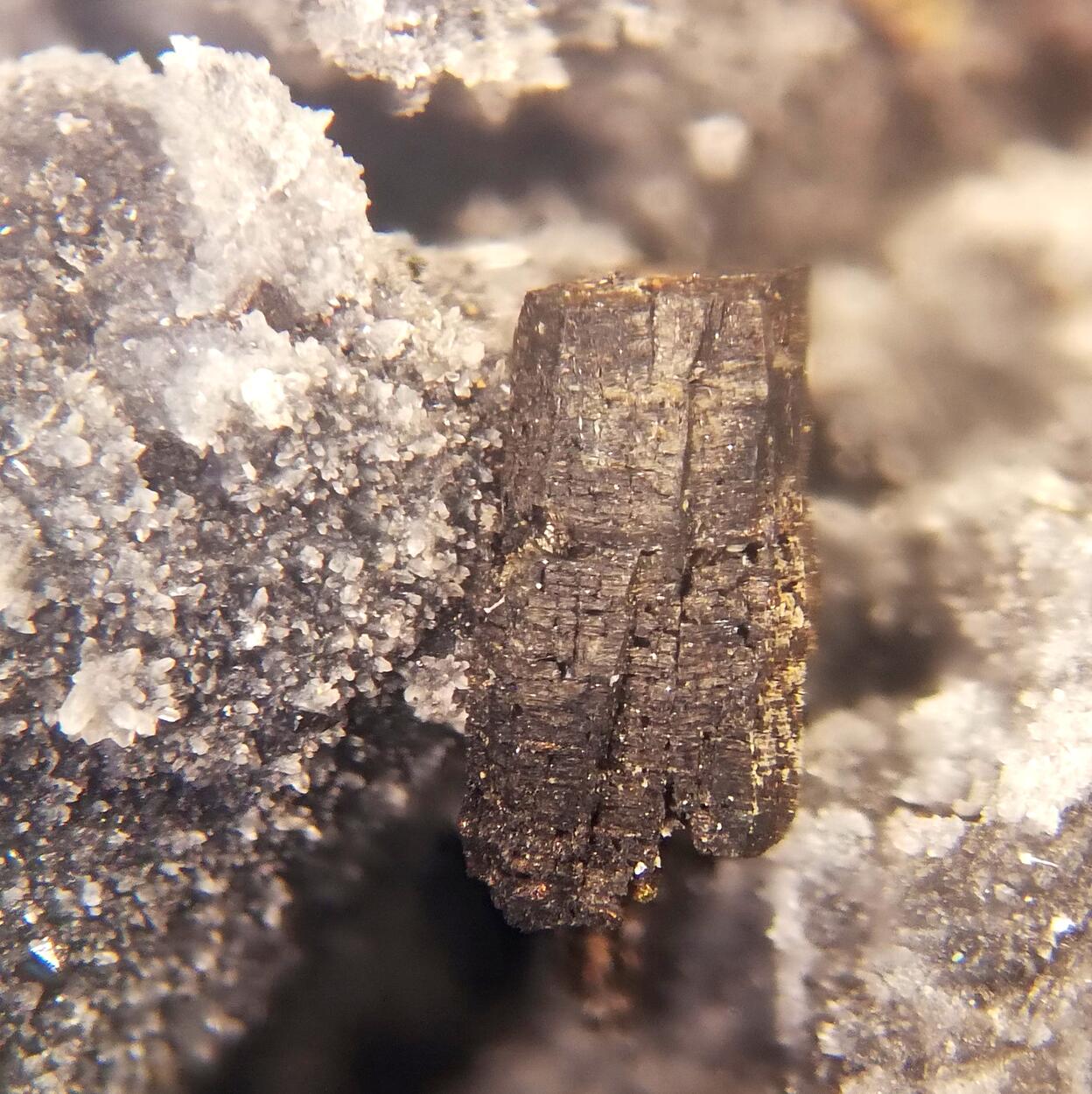 Pyrrhotite