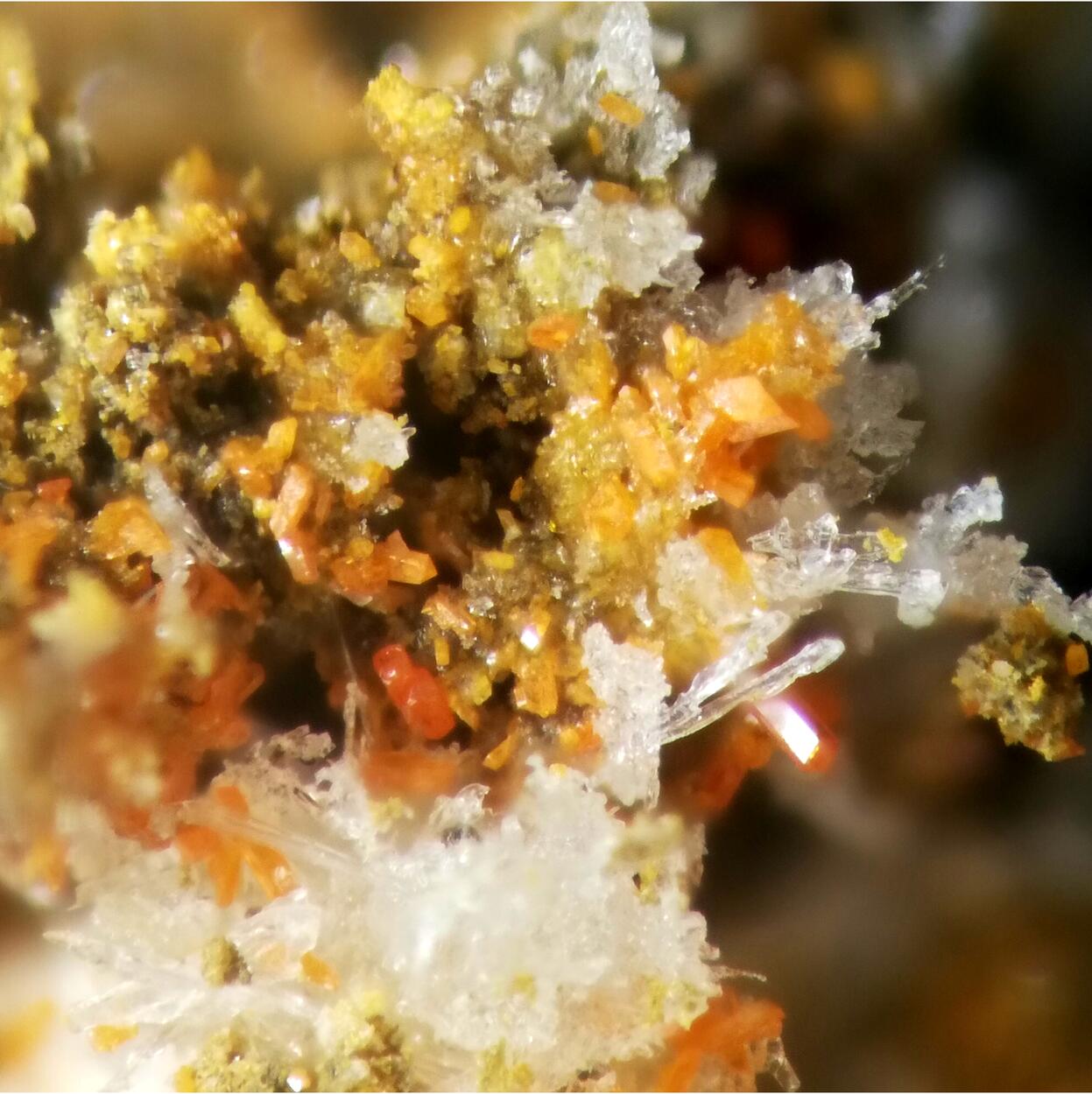 Alacránite & Realgar