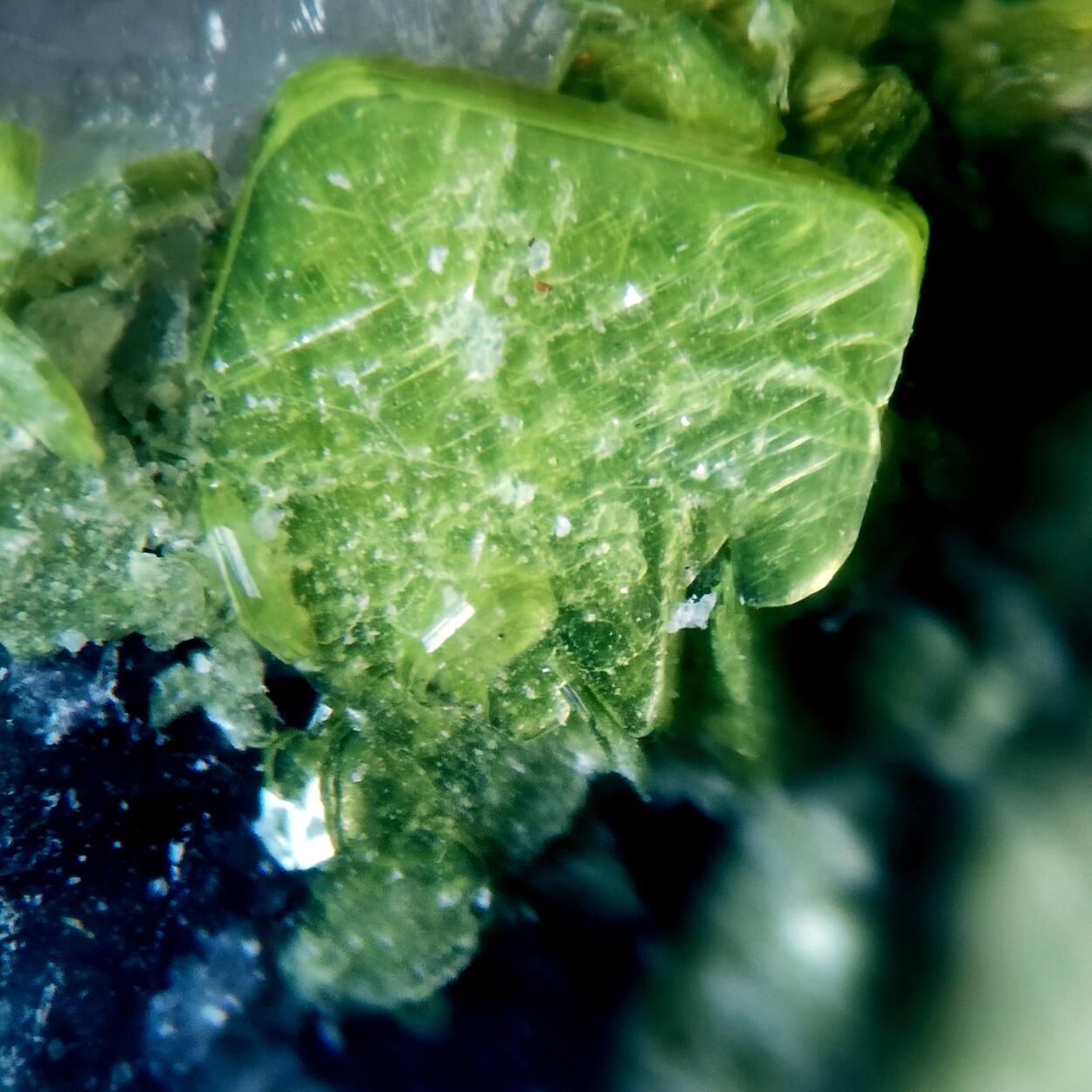 Autunite