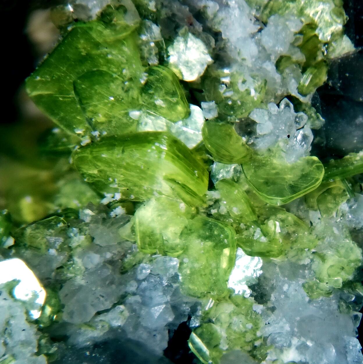 Autunite