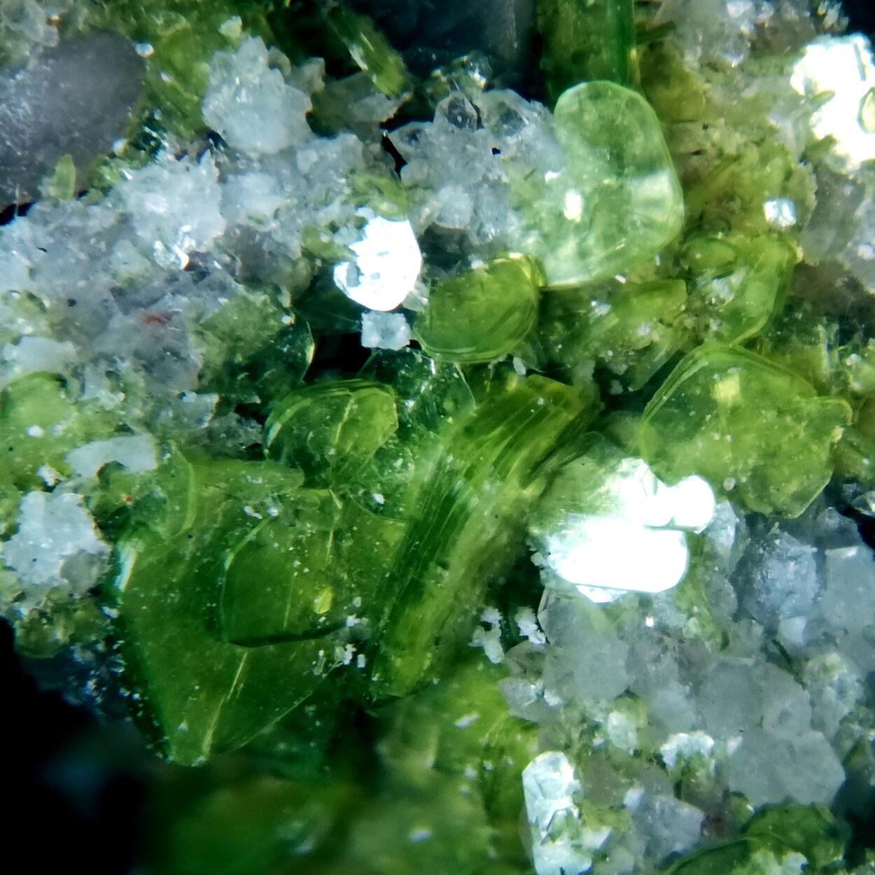 Autunite