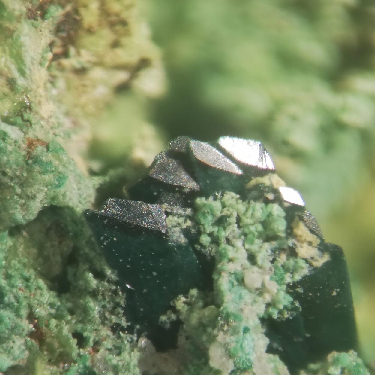 Vandenbrandeite & Cuprosklodowskite