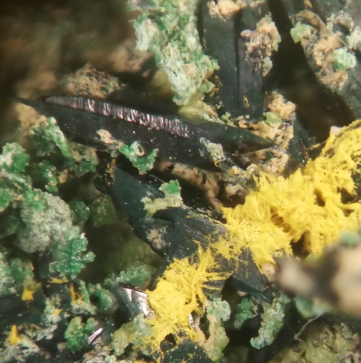 Vandenbrandeite & Cuprosklodowskite