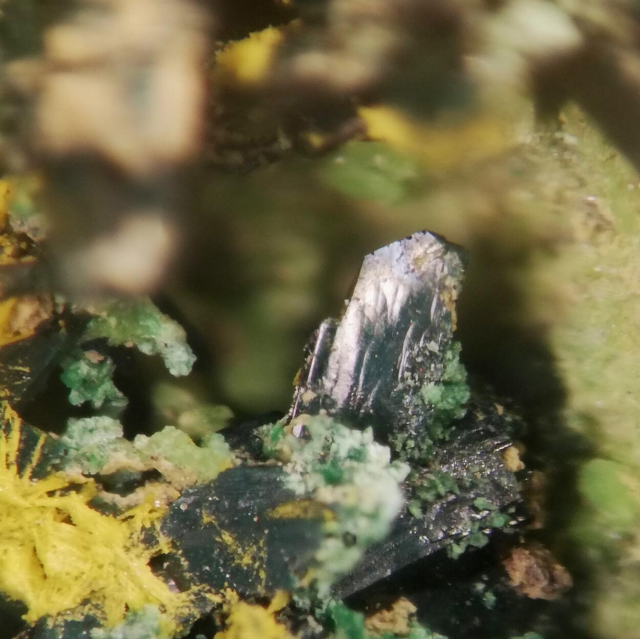 Vandenbrandeite & Cuprosklodowskite