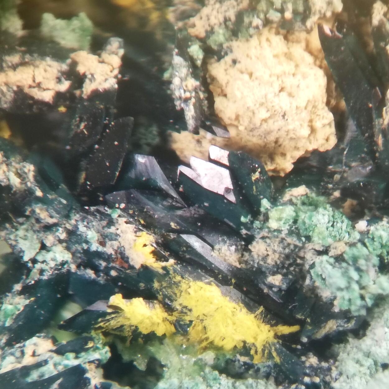 Vandenbrandeite & Cuprosklodowskite