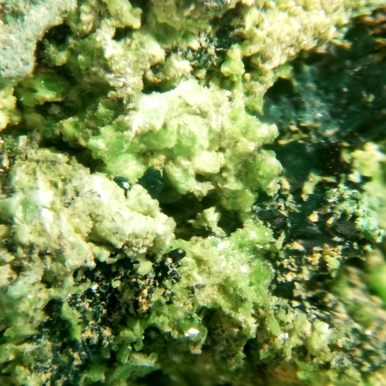 Vandenbrandeite & Cuprosklodowskite