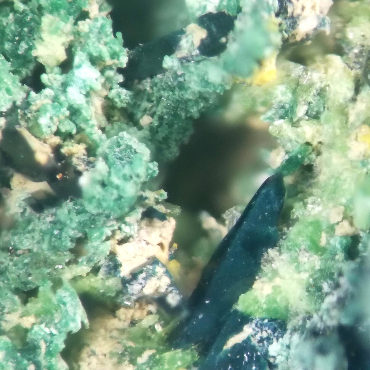 Vandenbrandeite & Cuprosklodowskite