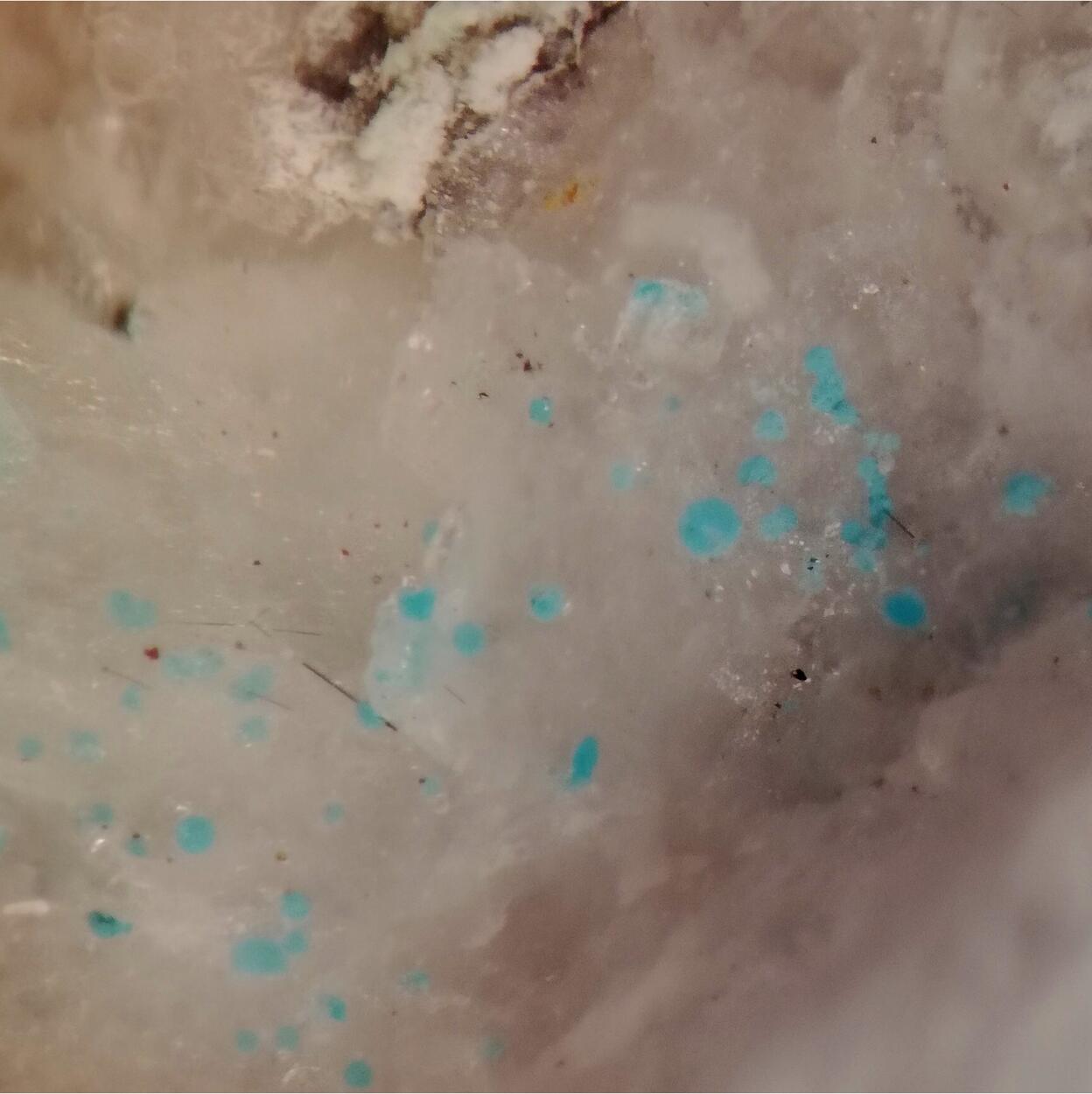 Richelsdorfite & Cubanite