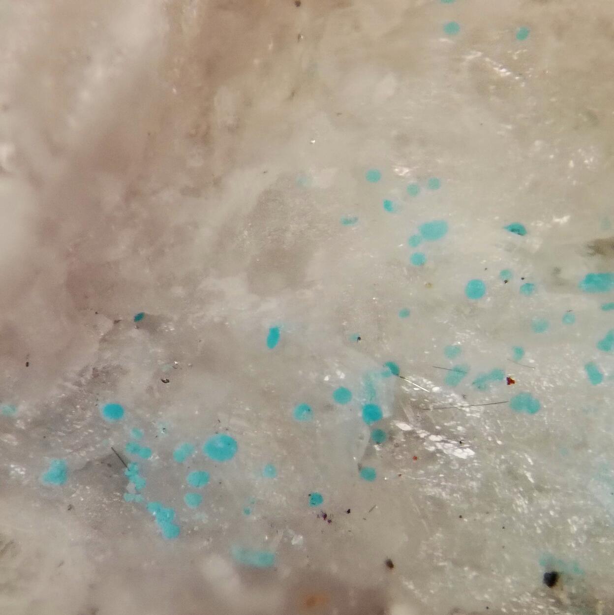 Richelsdorfite & Cubanite