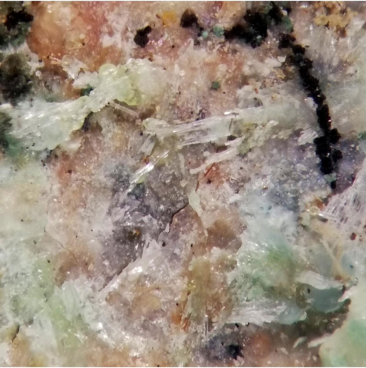 Schultenite