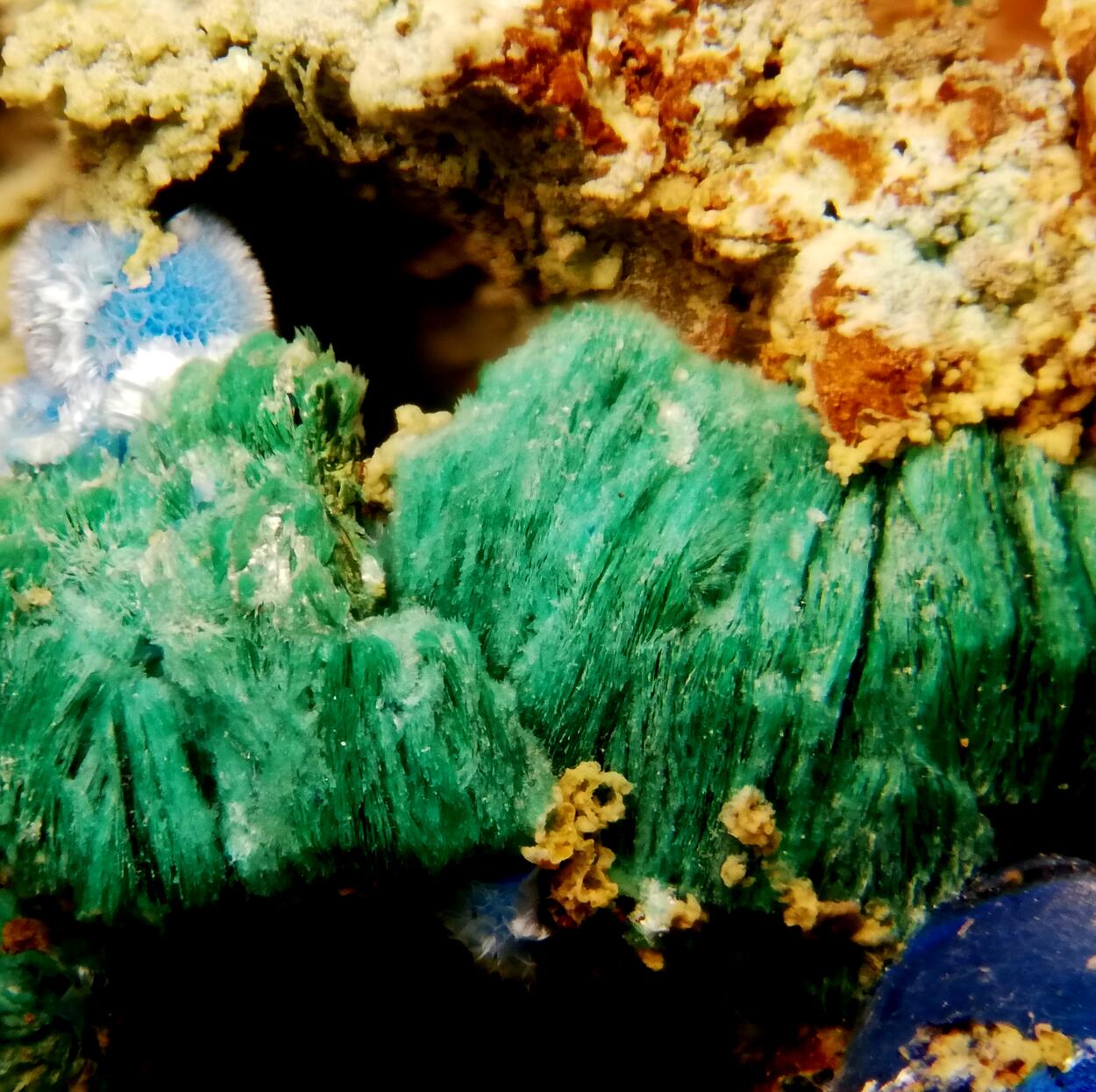 Chalcophyllite & Cyanotrichite