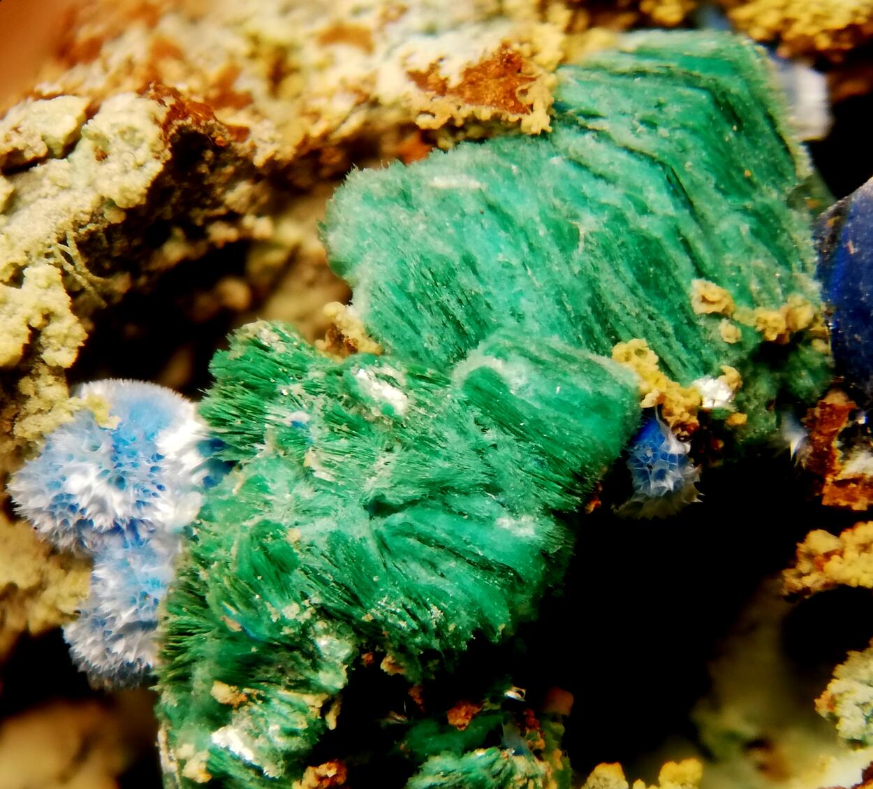 Chalcophyllite & Cyanotrichite