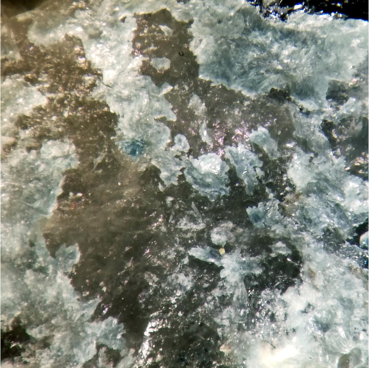 Gelosaite & Molybdenite