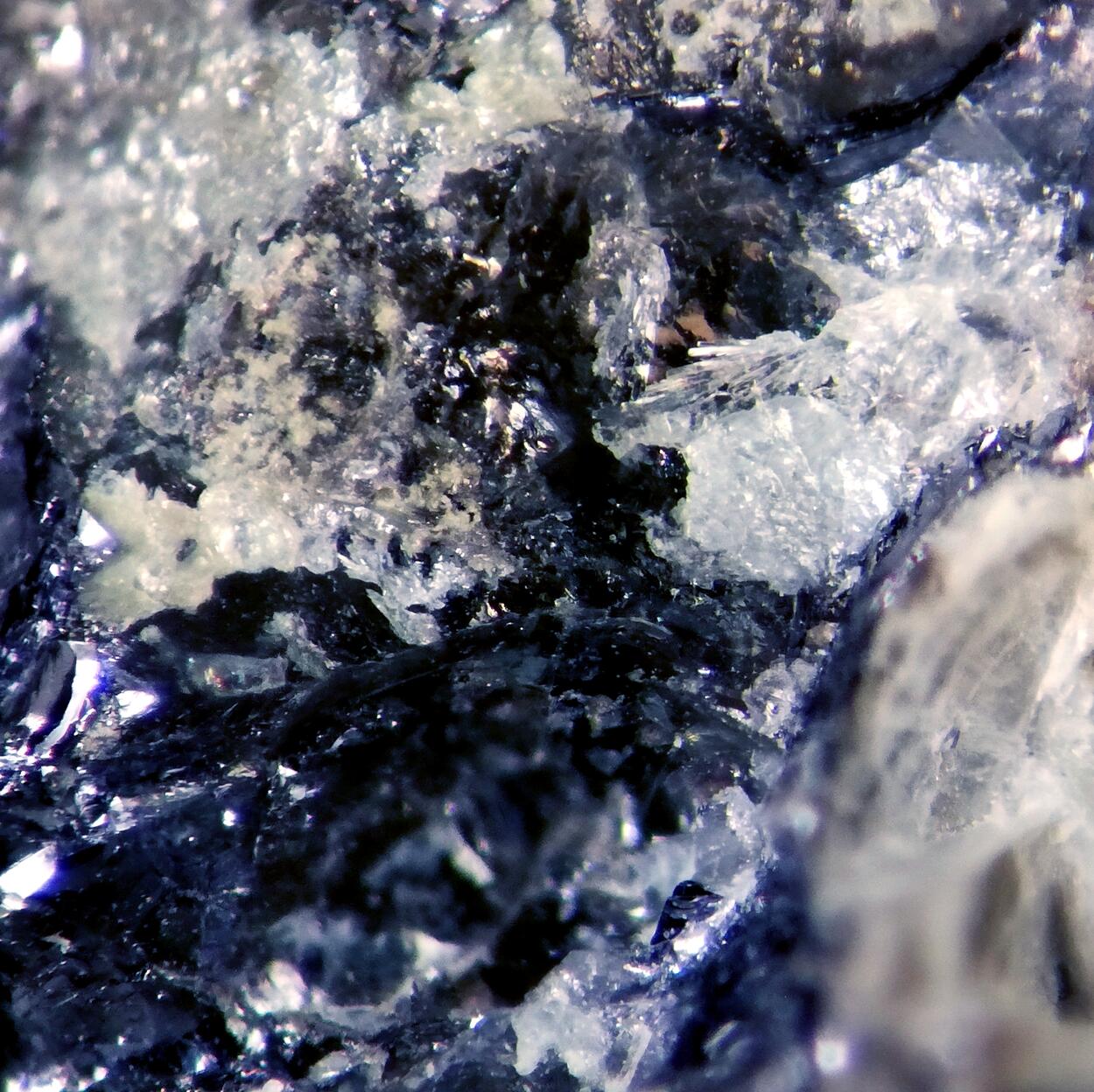 Gelosaite & Molybdenite