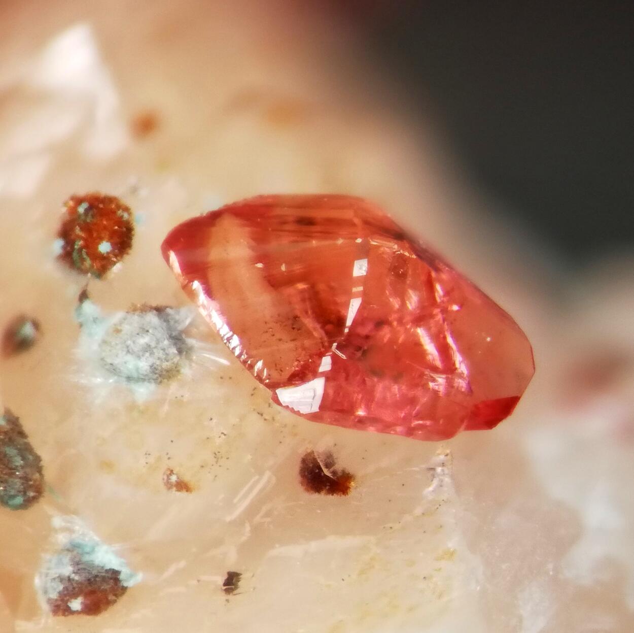 Wendwilsonite Cobaltlotharmeyerite