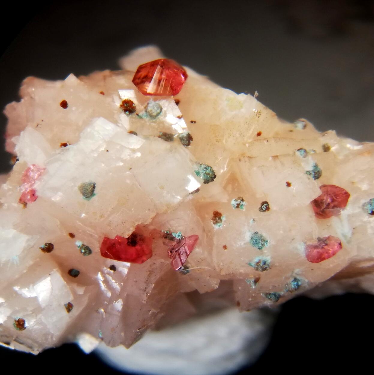 Wendwilsonite Cobaltlotharmeyerite