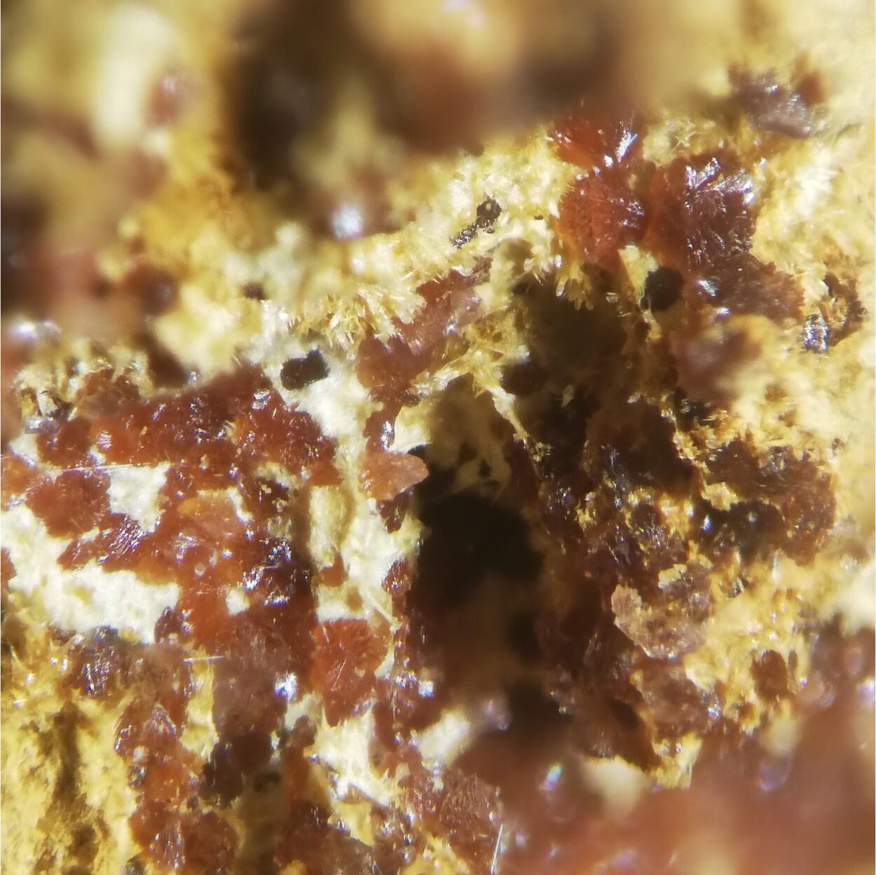 Kapundaite & Leucophosphite