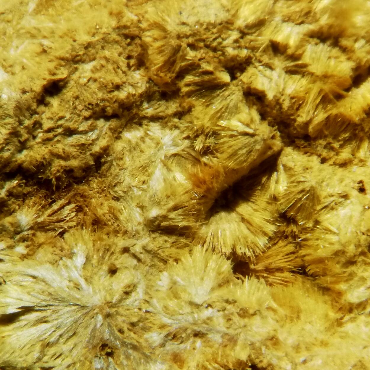 Kapundaite & Leucophosphite