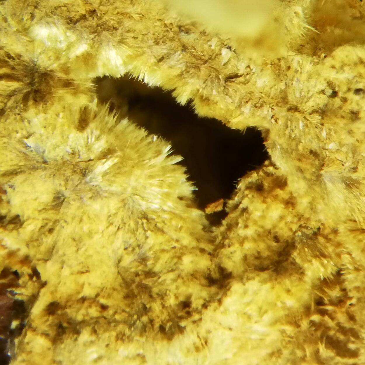 Kapundaite & Leucophosphite