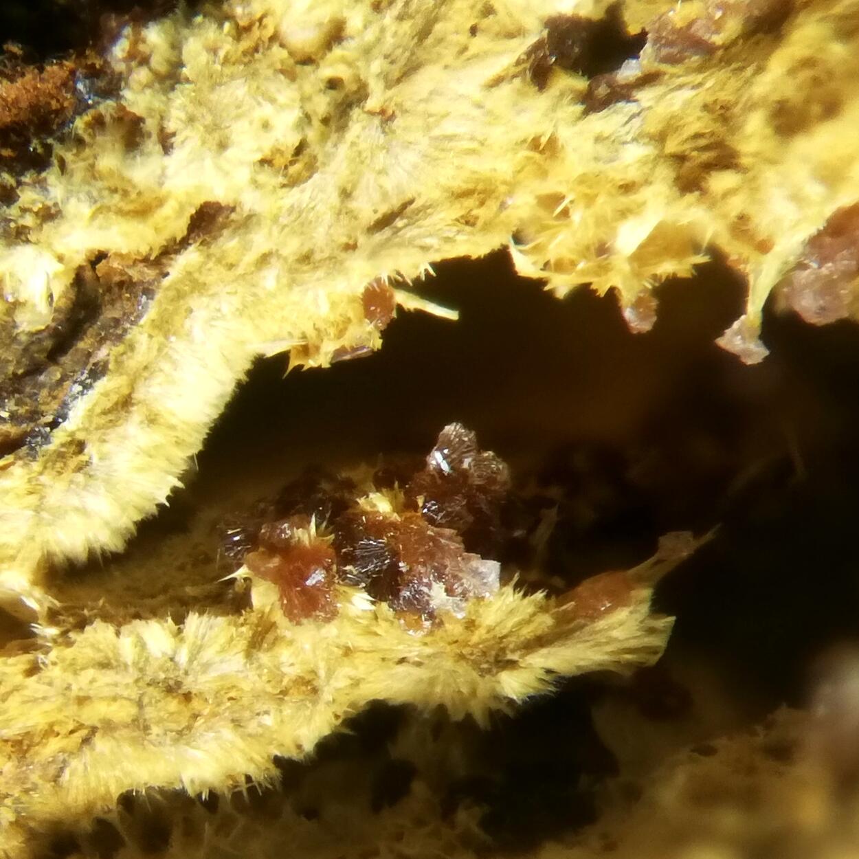 Kapundaite & Leucophosphite