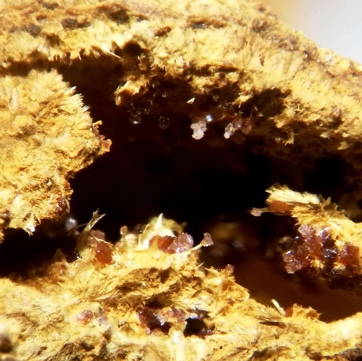 Kapundaite & Leucophosphite