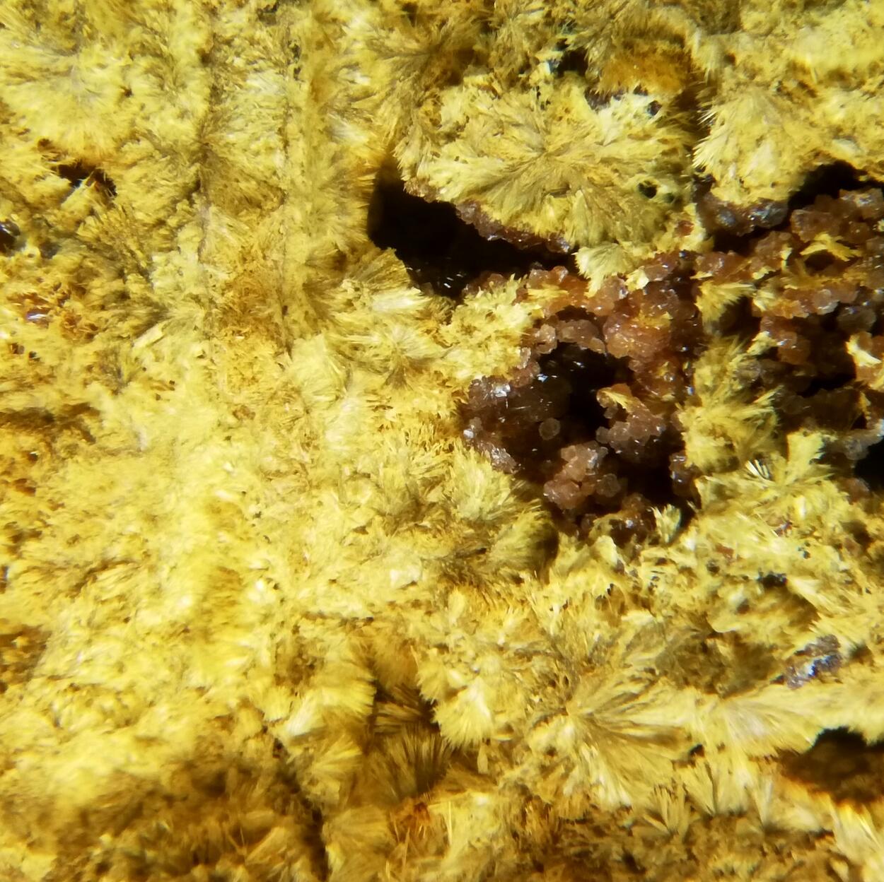 Kapundaite & Leucophosphite