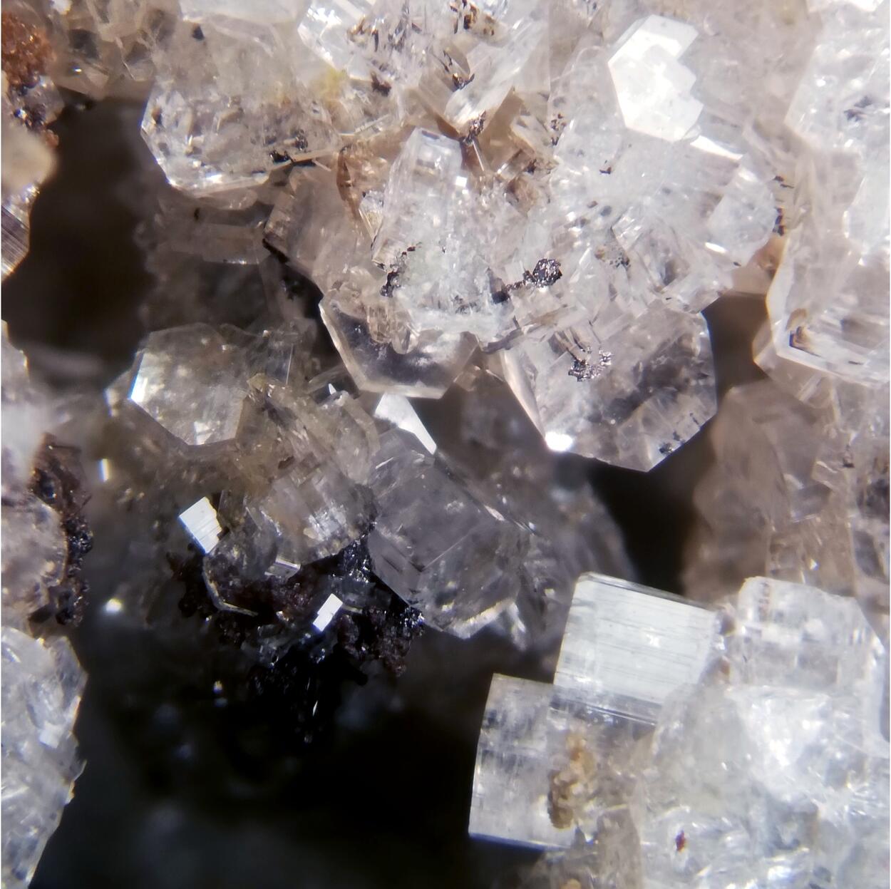 Bertrandite