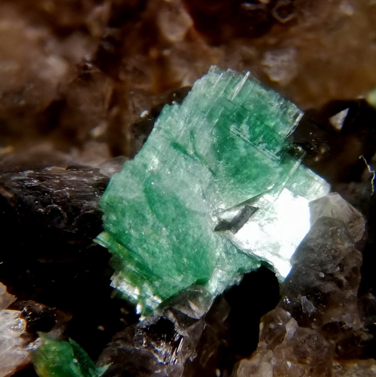 Torbernite