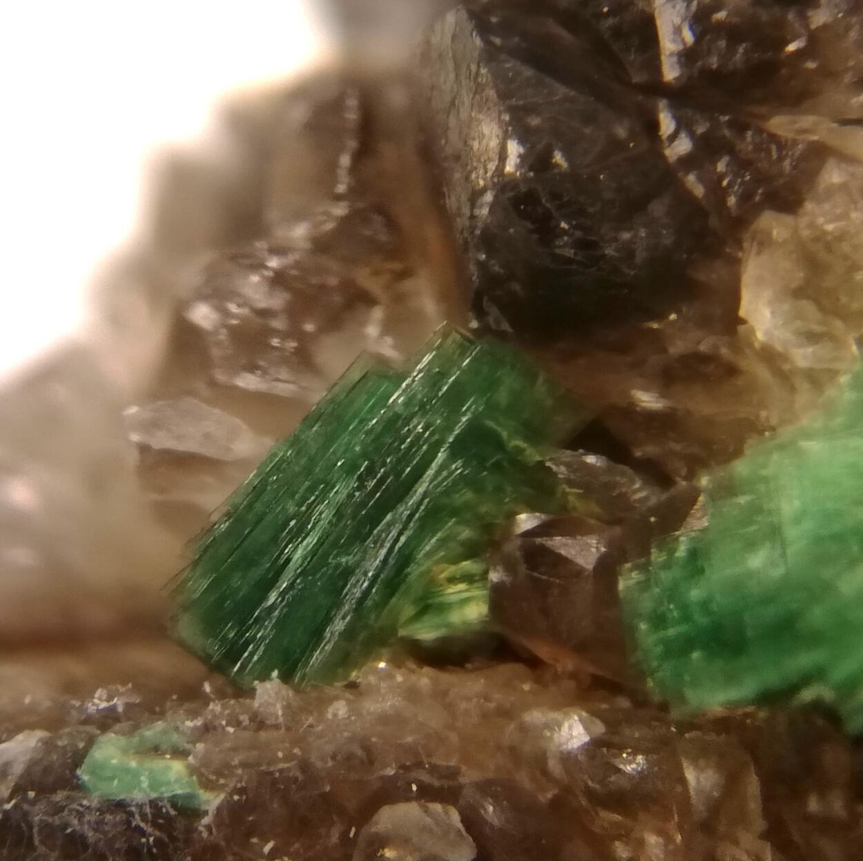 Torbernite