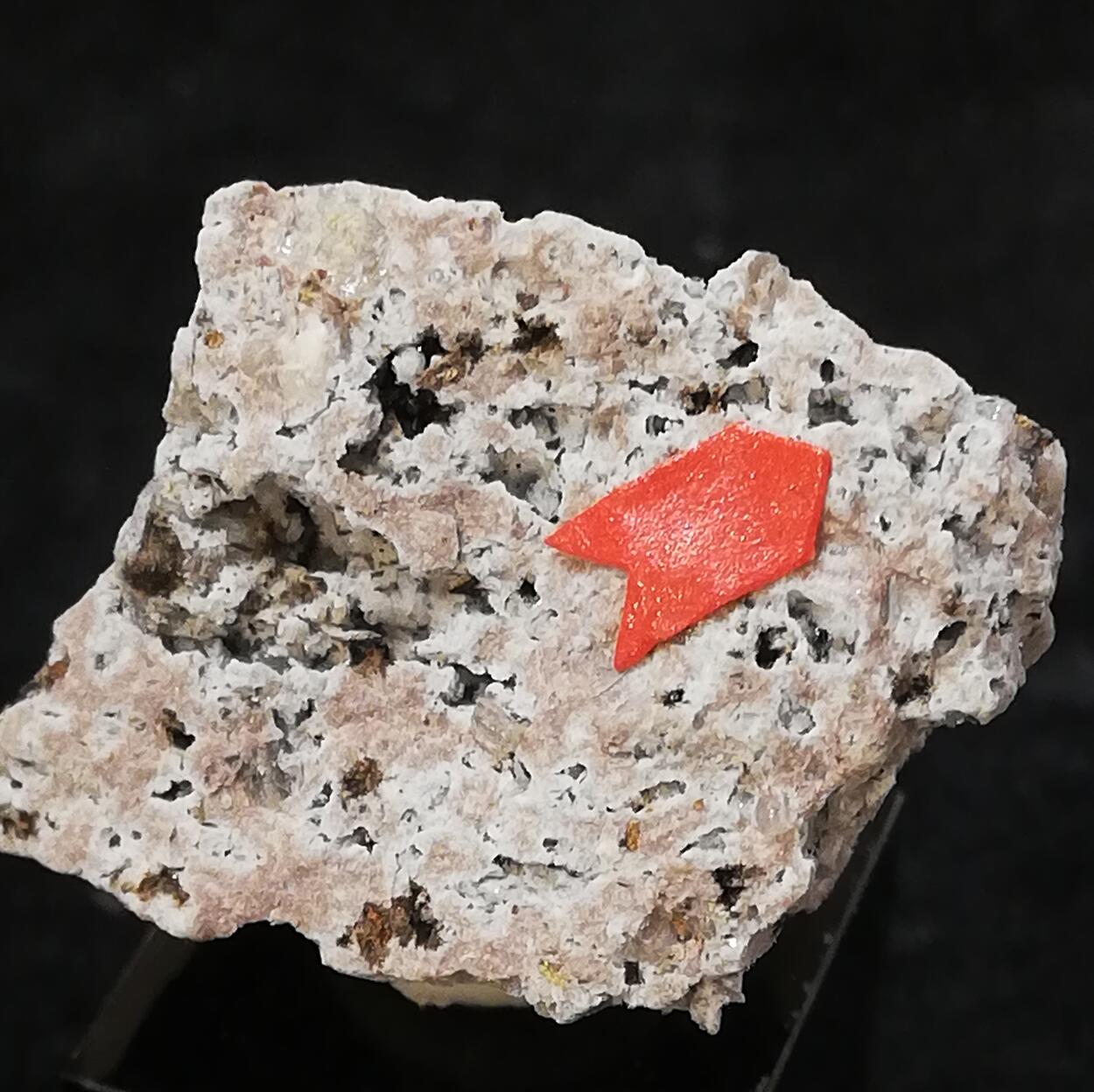 Dingdaohengite-(Ce) Tridymite Fluoro-edenite