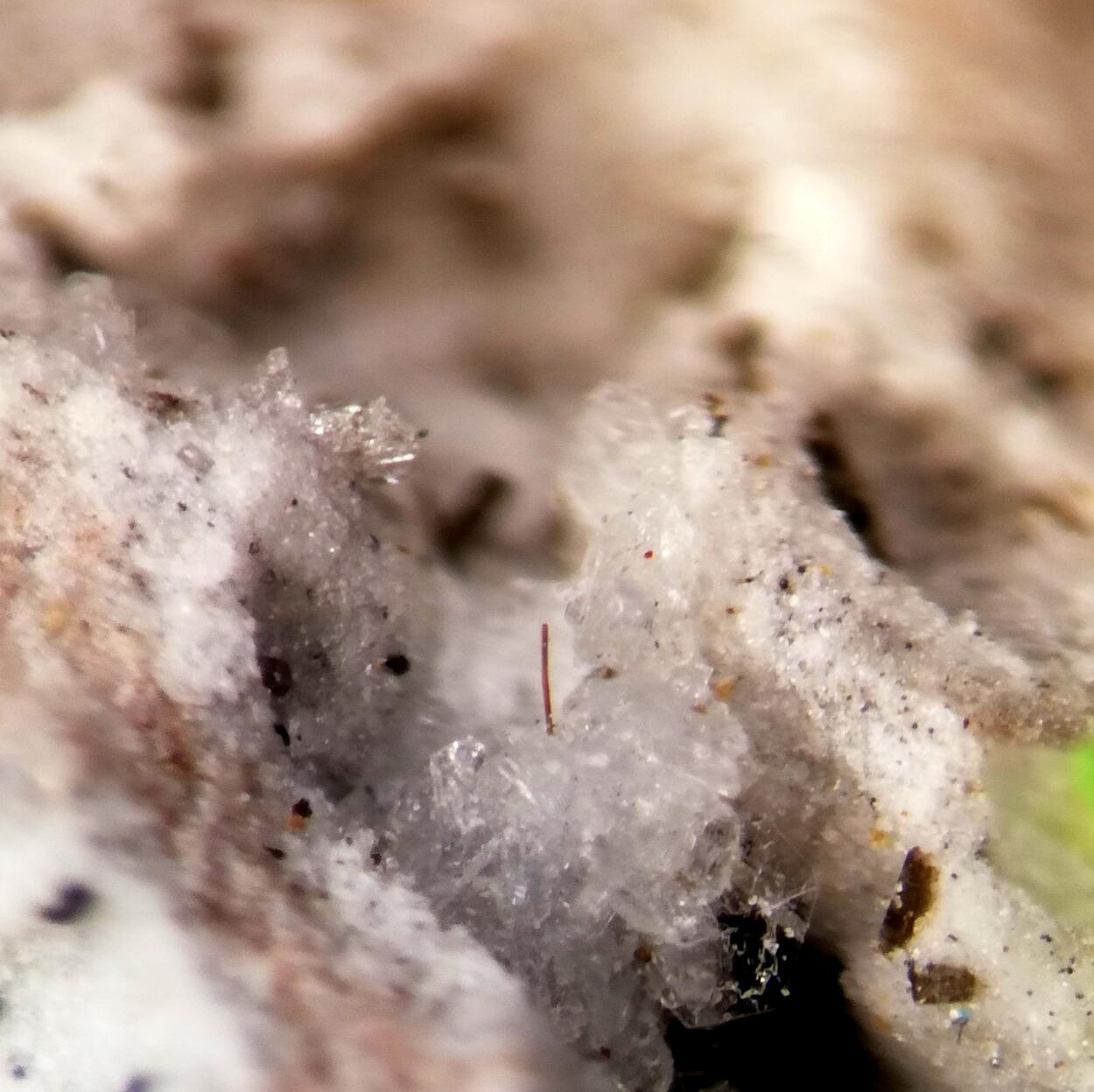 Dingdaohengite-(Ce) Tridymite Fluoro-edenite