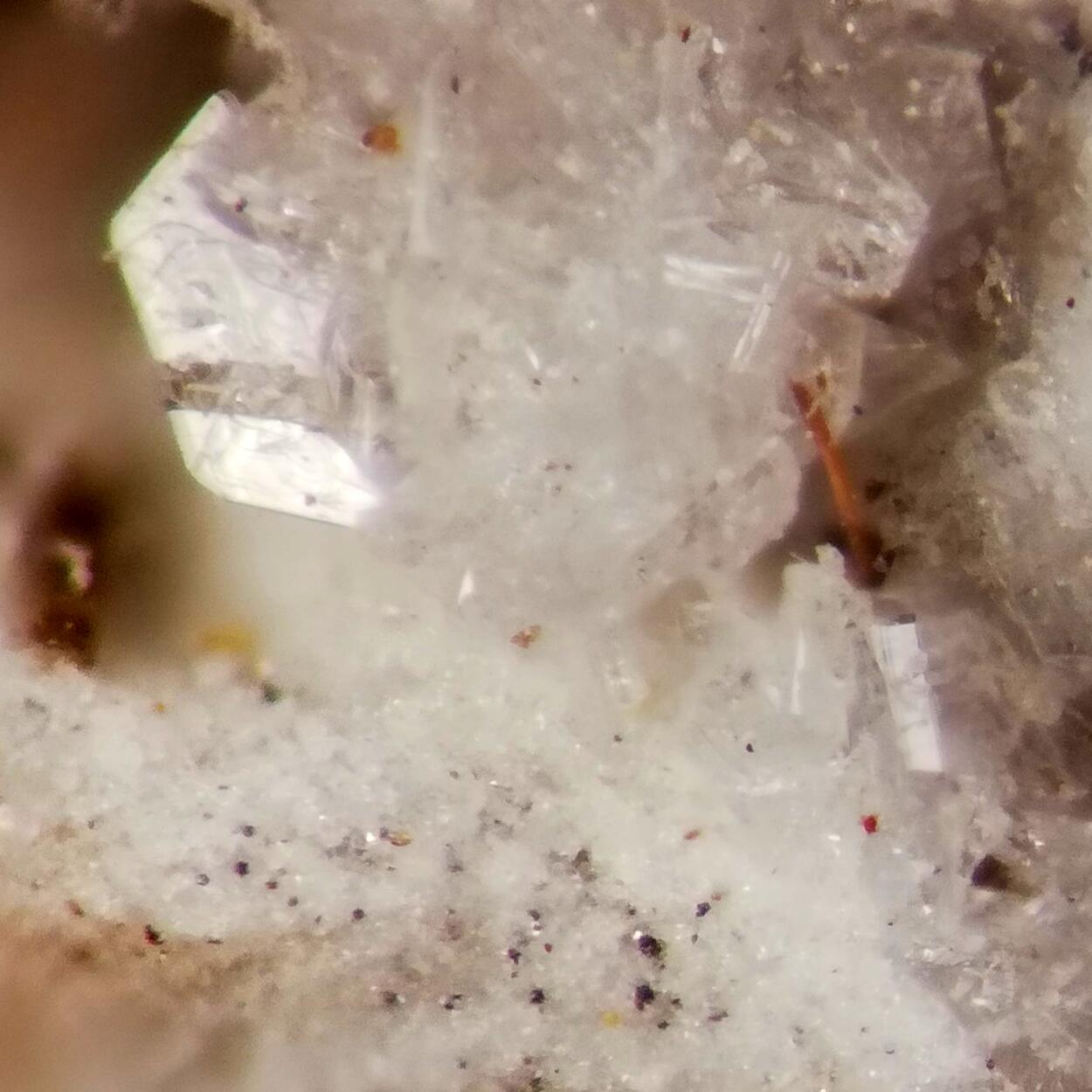 Dingdaohengite-(Ce) Tridymite Fluoro-edenite