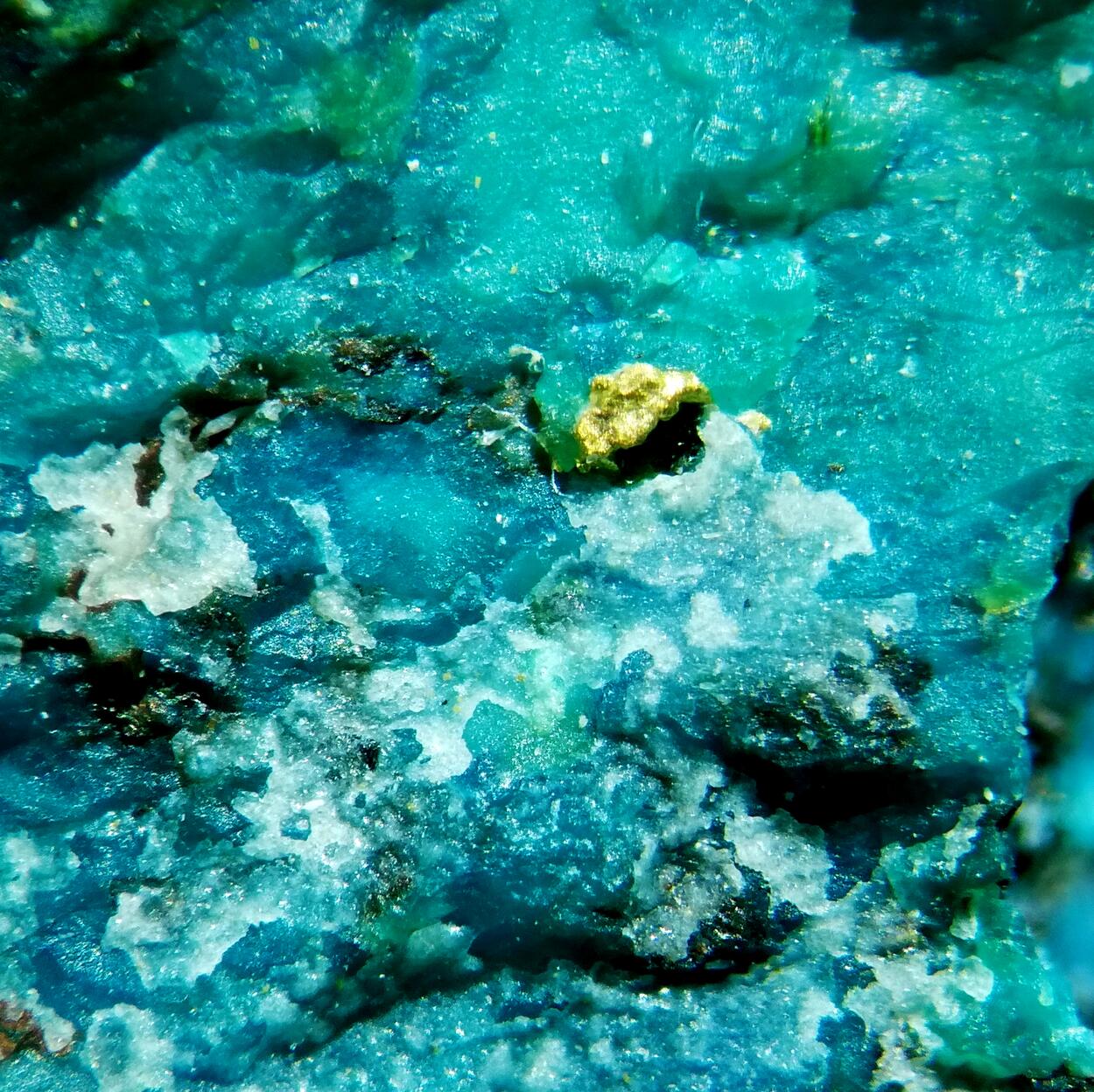 Gold On Shattuckite & Chrysocolla