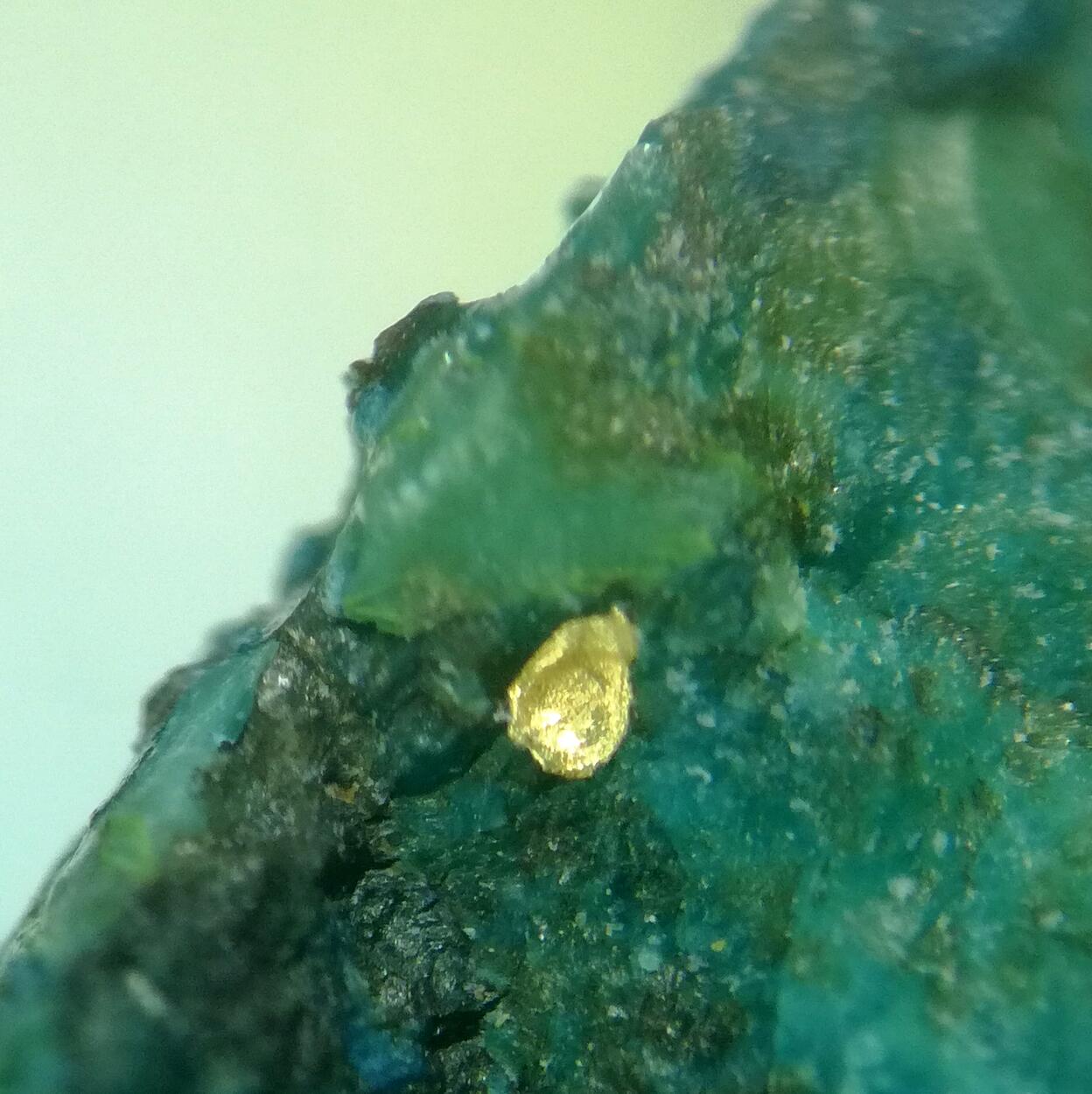 Gold On Shattuckite & Chrysocolla