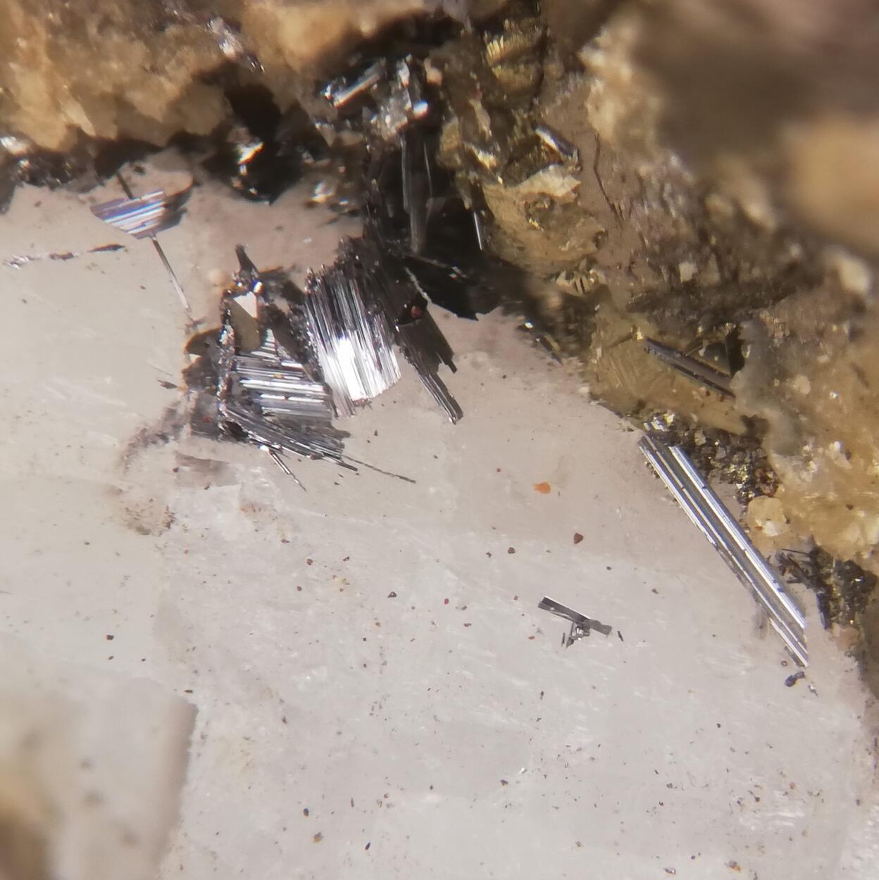 Gustavite & Arsenopyrite