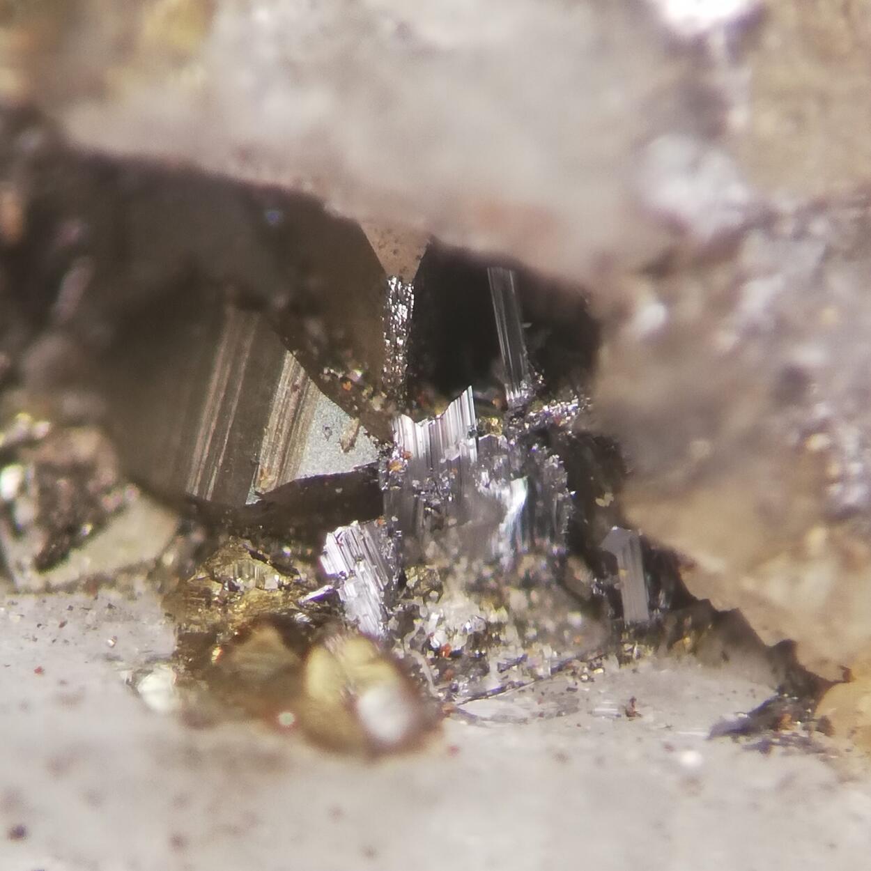 Gustavite & Arsenopyrite