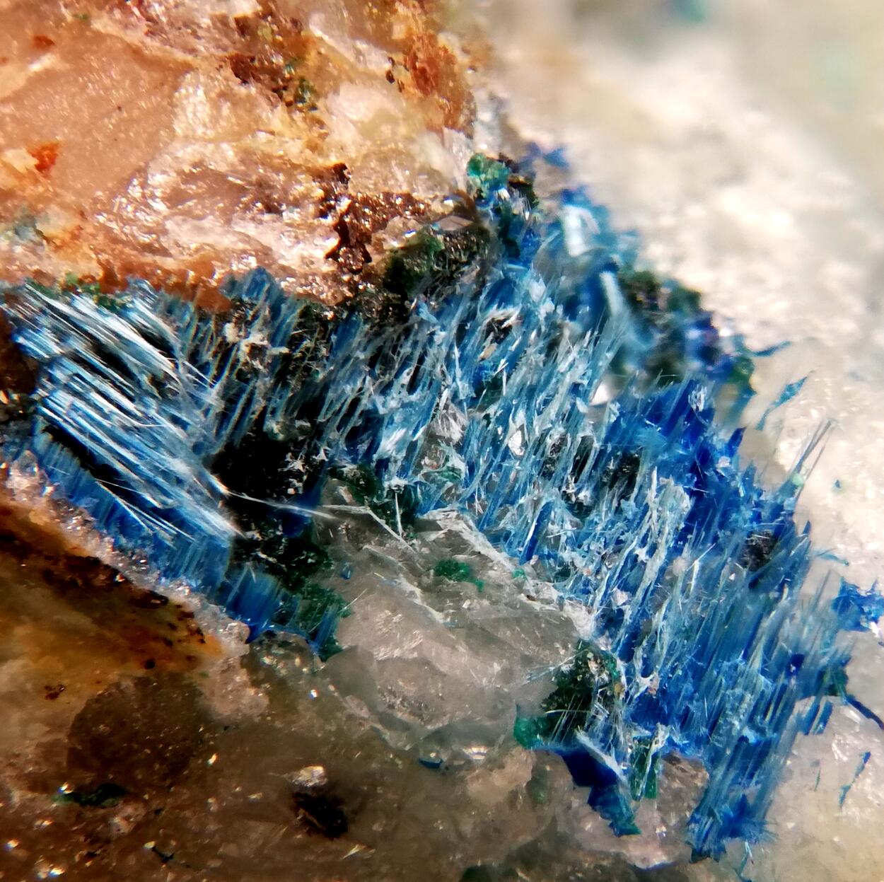 Connellite