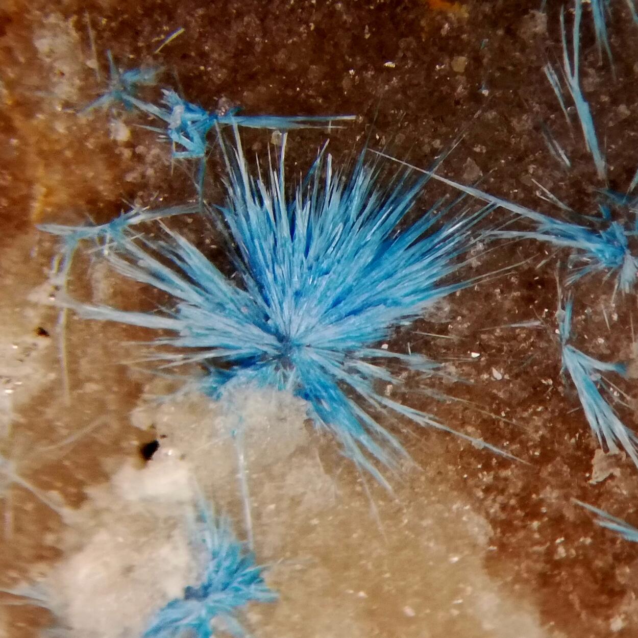 Cyanotrichite