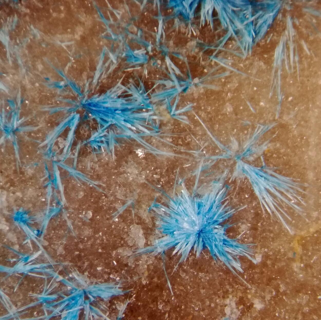 Cyanotrichite