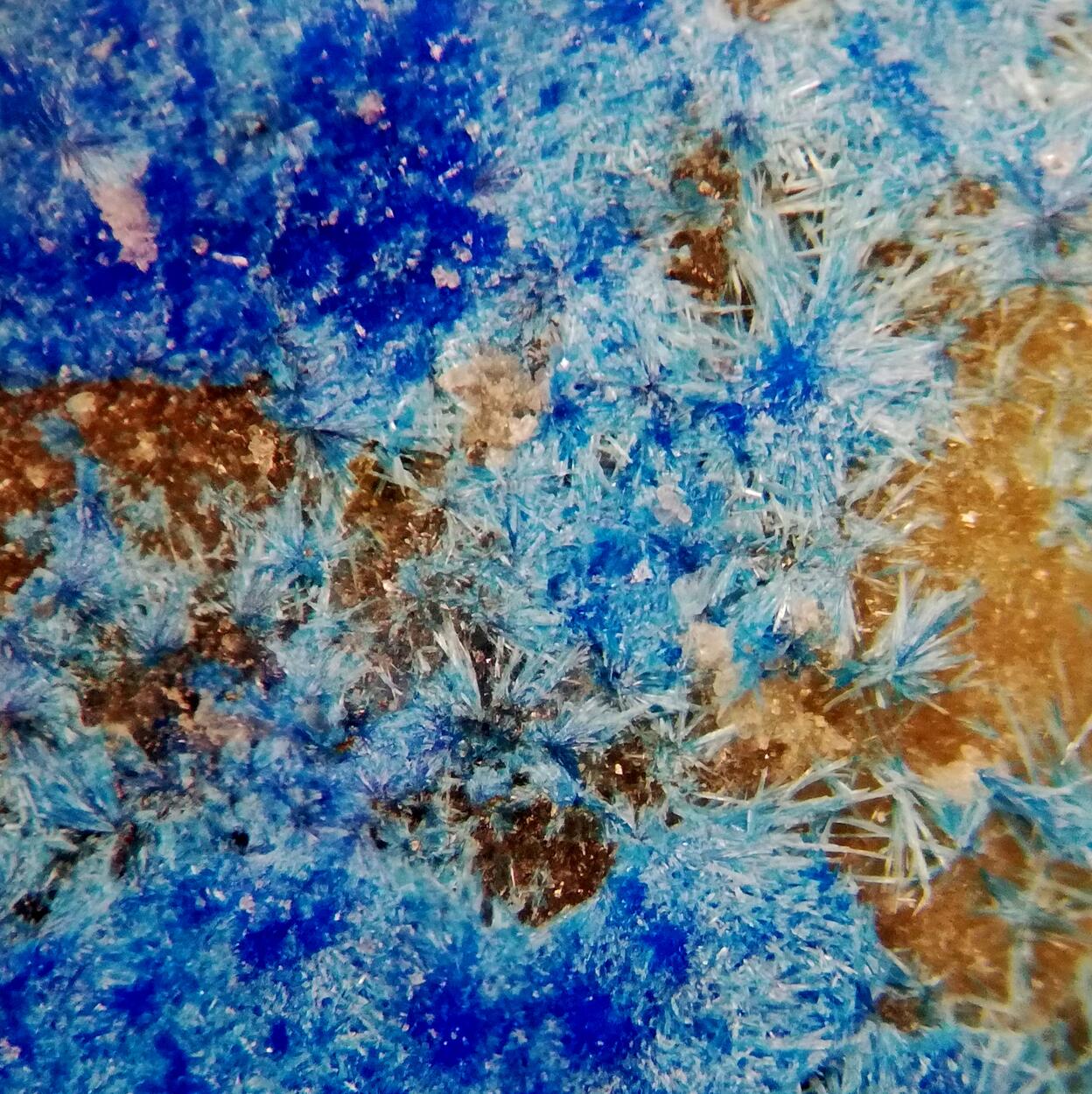 Cyanotrichite