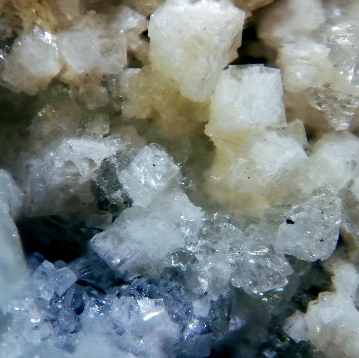 Goyazite & Hydroxylherderite