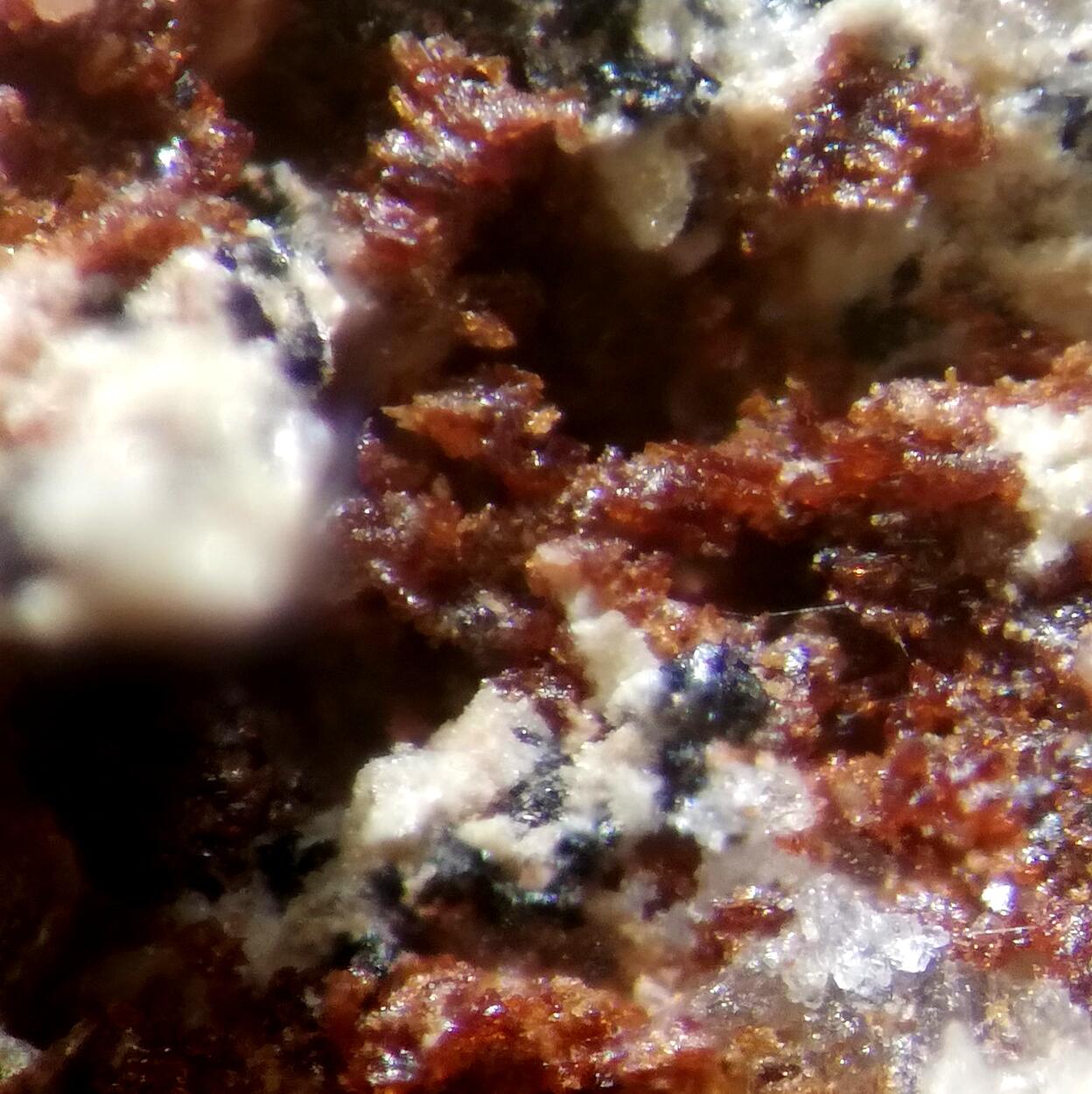 Gamagarite & Ganophyllite