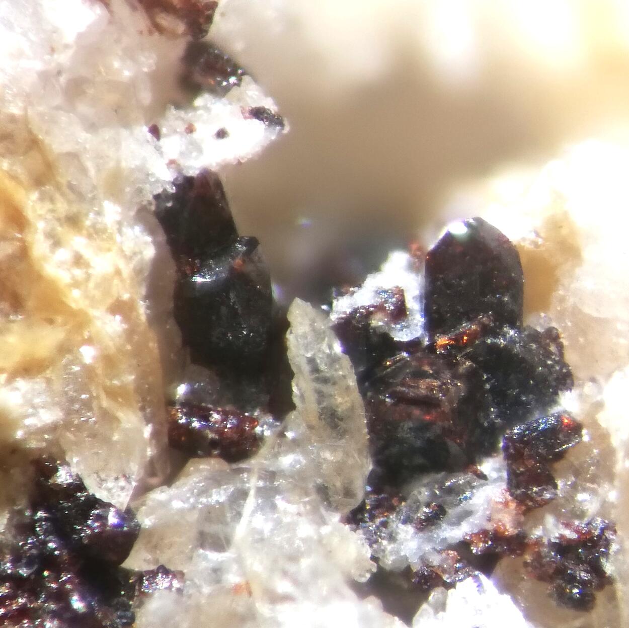 Gamagarite & Ganophyllite