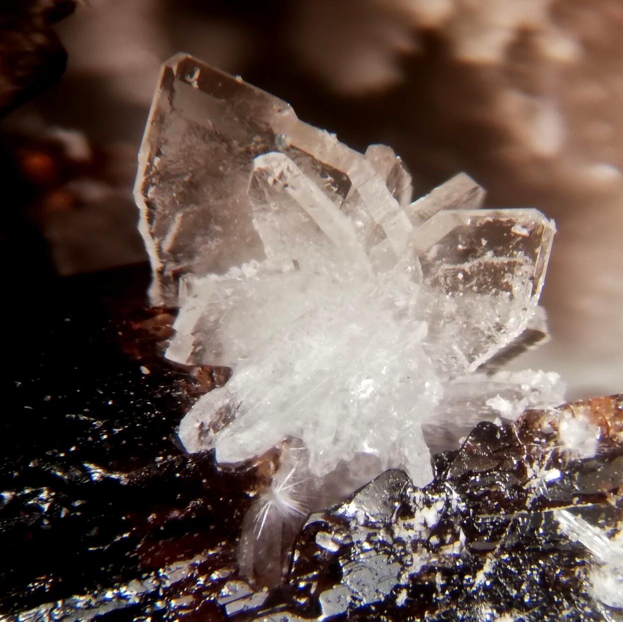 Khademite Römerite Coquimbite