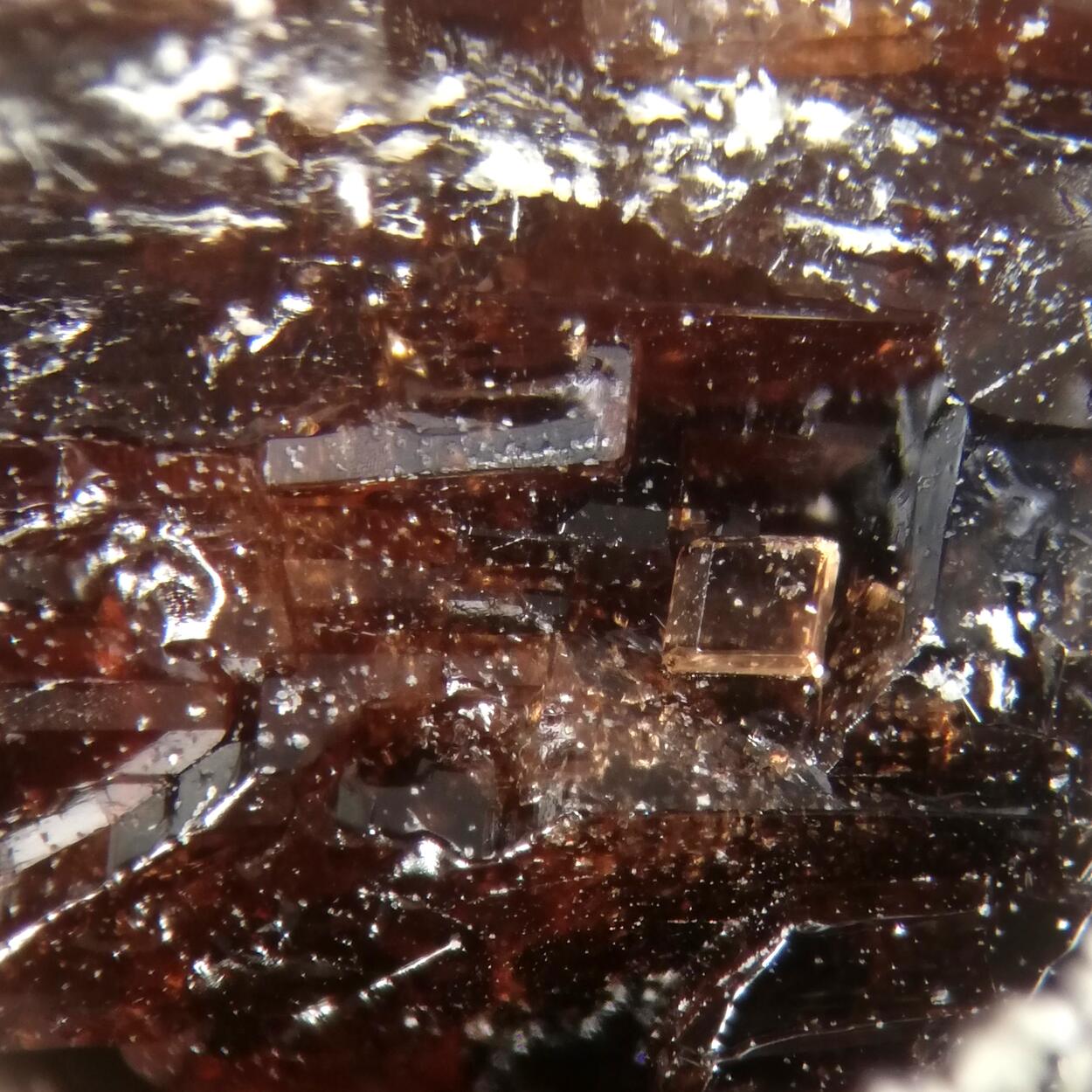 Khademite Römerite Coquimbite